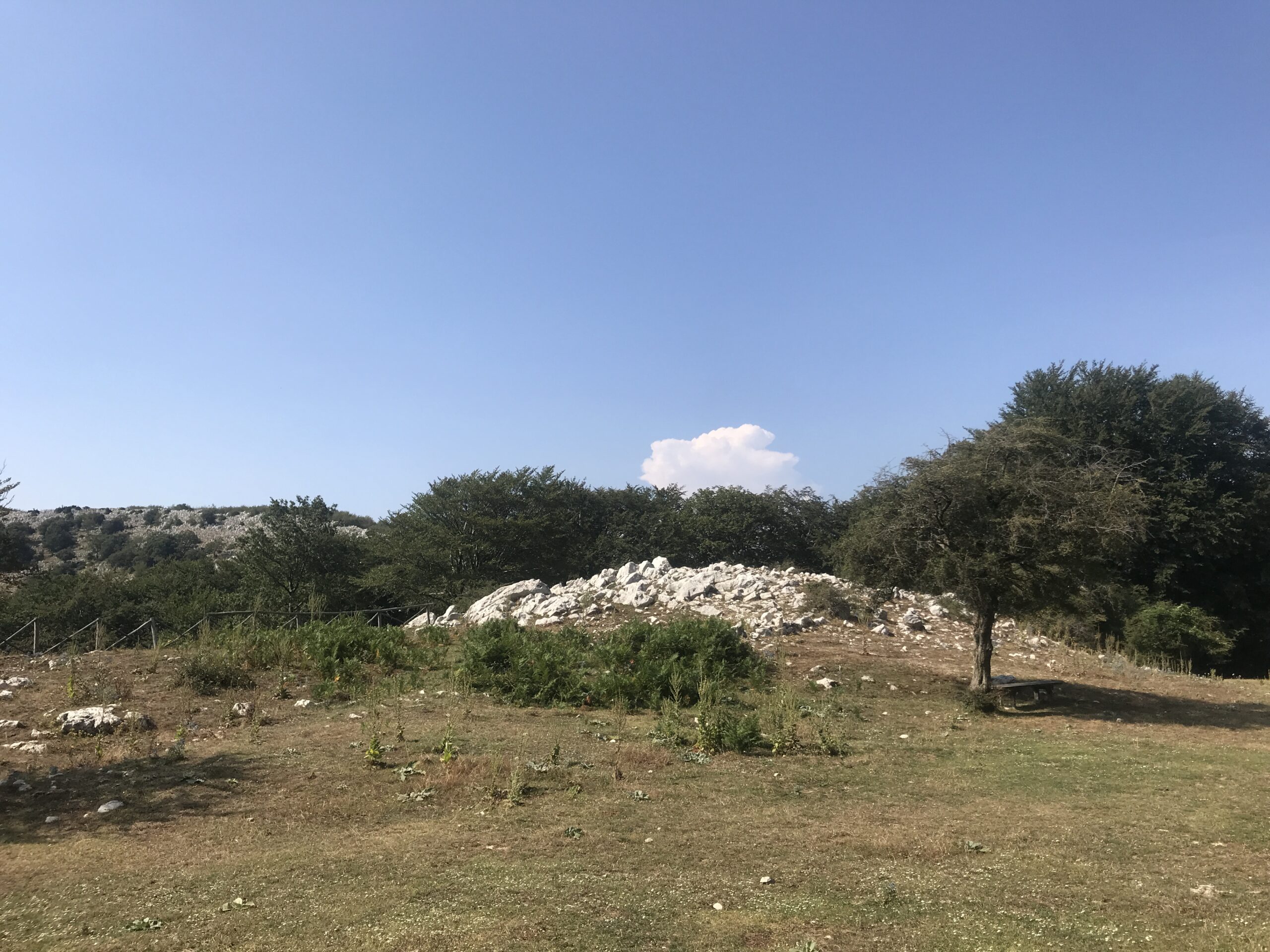 Ferragosto a Borgo Tuoro: tra rituali comunitari e presidio della montagna cilentana